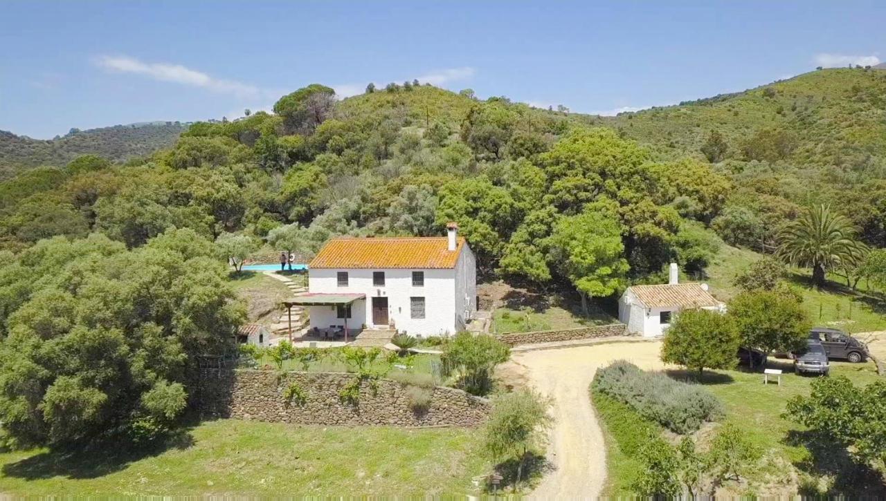 Finca Sta Teresa, Casa Grande Estepona Ngoại thất bức ảnh