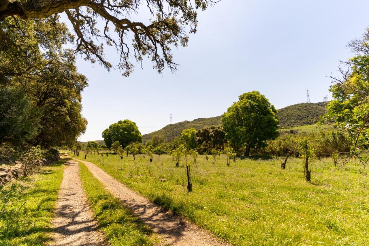 Finca Sta Teresa, Casa Grande Estepona Ngoại thất bức ảnh