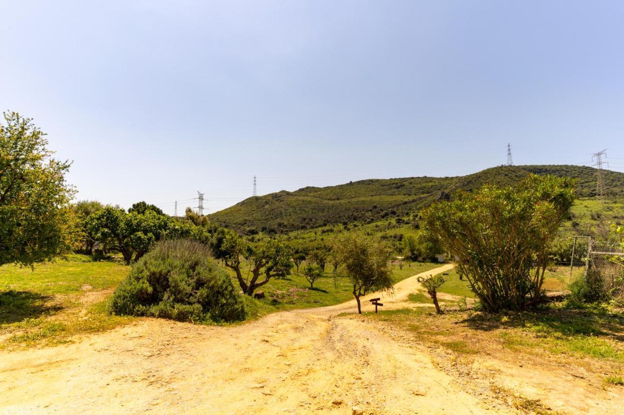 Finca Sta Teresa, Casa Grande Estepona Ngoại thất bức ảnh