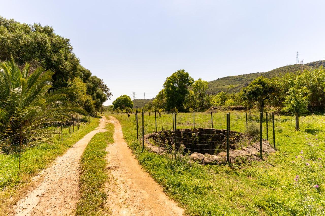 Finca Sta Teresa, Casa Grande Estepona Ngoại thất bức ảnh