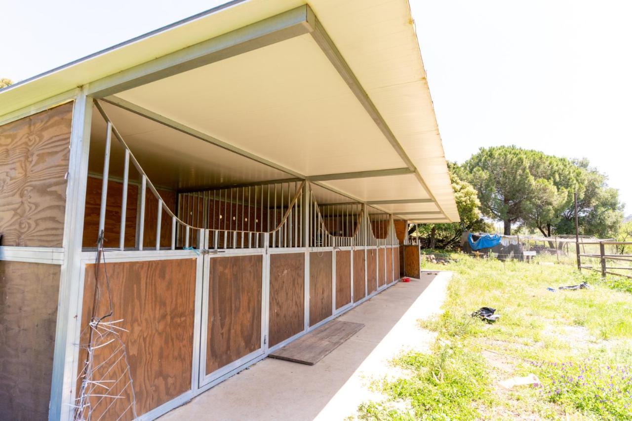 Finca Sta Teresa, Casa Grande Estepona Ngoại thất bức ảnh