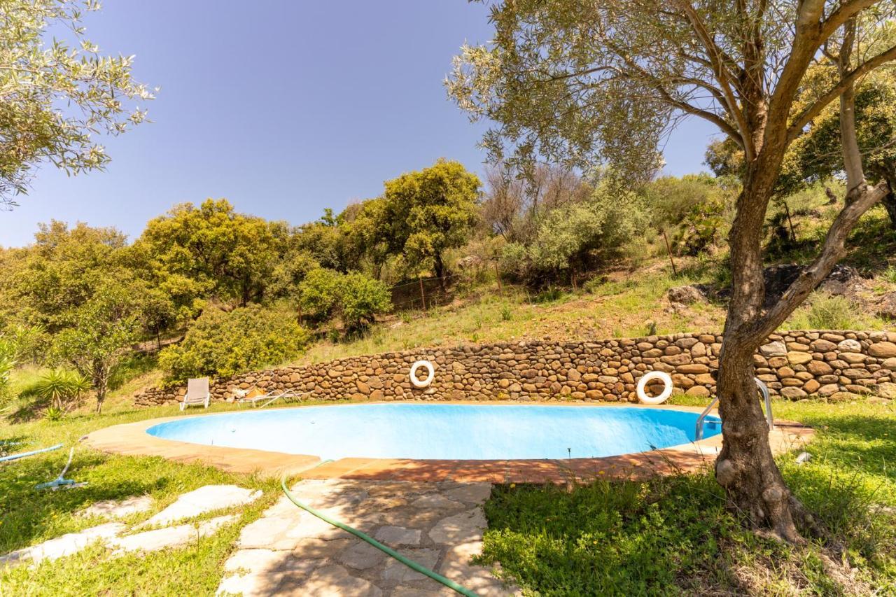 Finca Sta Teresa, Casa Grande Estepona Ngoại thất bức ảnh