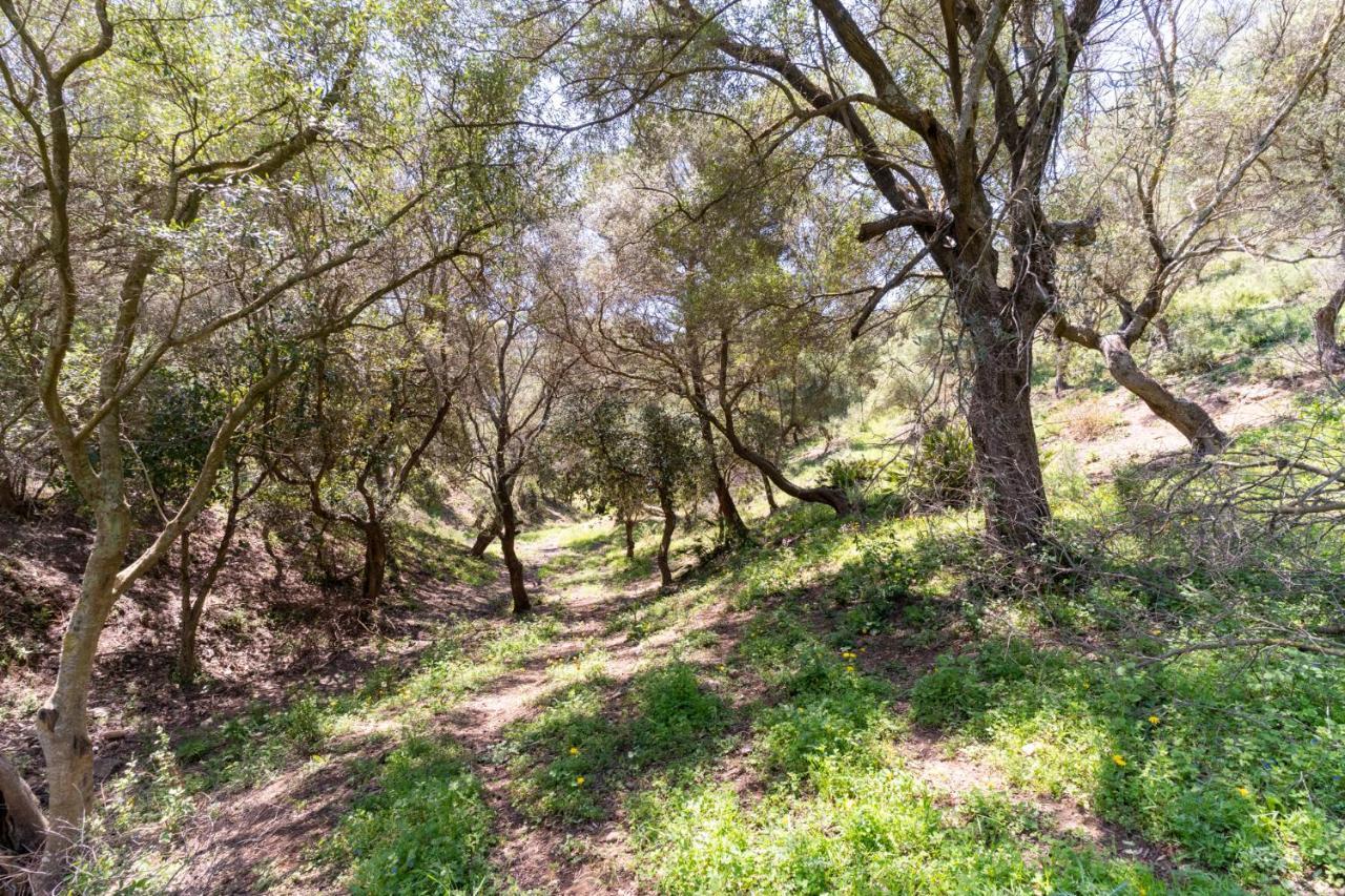 Finca Sta Teresa, Casa Grande Estepona Ngoại thất bức ảnh