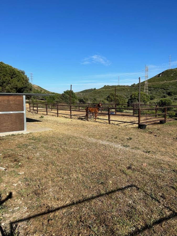 Finca Sta Teresa, Casa Grande Estepona Ngoại thất bức ảnh