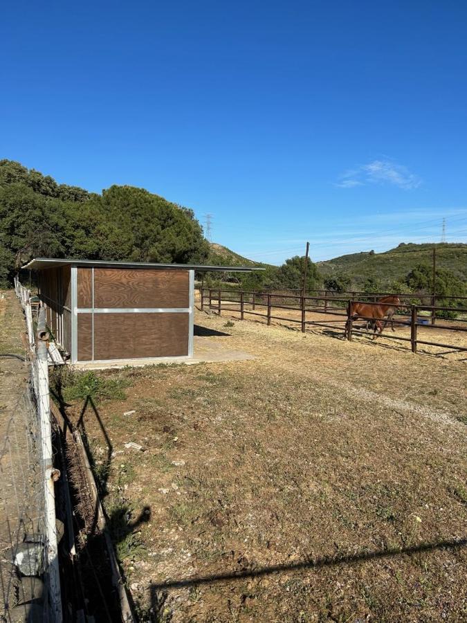 Finca Sta Teresa, Casa Grande Estepona Ngoại thất bức ảnh