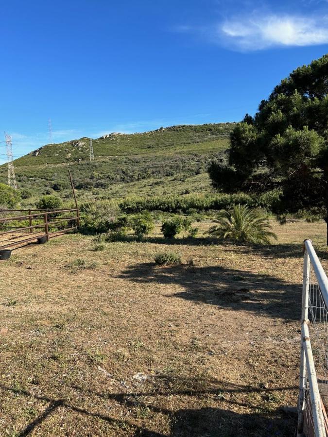 Finca Sta Teresa, Casa Grande Estepona Ngoại thất bức ảnh